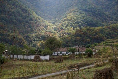 Mountain Farm